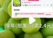 阳光玫瑰价格大跳水