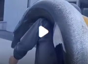 男子钓了一条大鱼 妻子情绪拉满