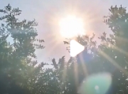 还是热！这伏出了又好像没出