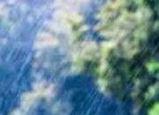 山东启动防汛四级应急响应：科技赋能筑牢“安全堤坝”